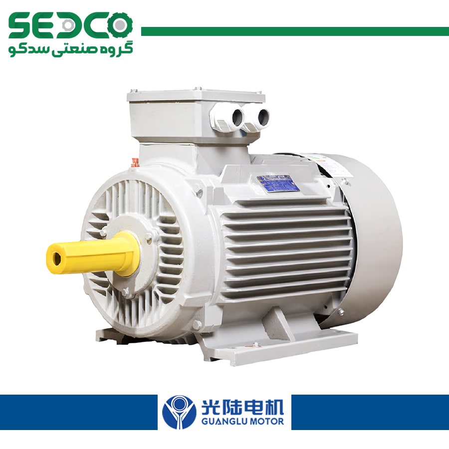 الکتروموتور چینی ارسم گوانگلو