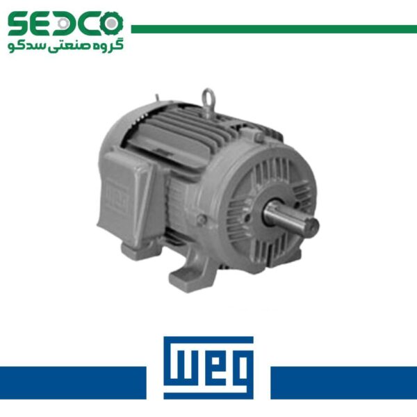 الکتروموتور معمولی WEG
