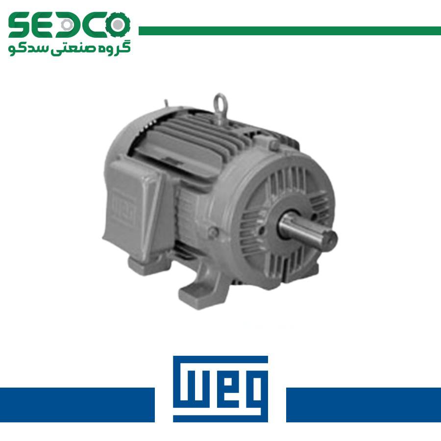 الکتروموتور معمولی WEG
