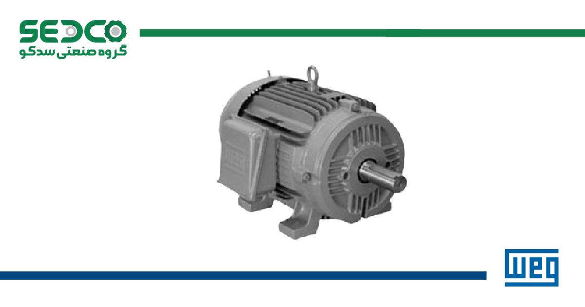 الکتروموتور معمولی WEG